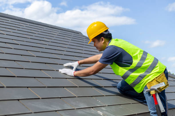 Roof Gutter Cleaning in Tama, IA